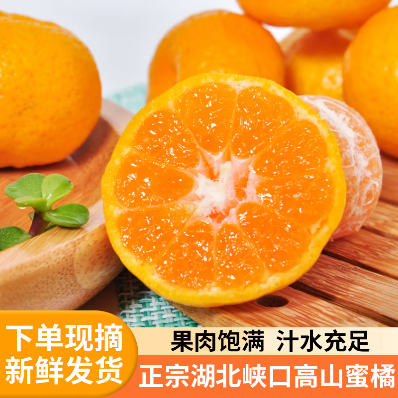 ［襄阳邮政专属］湖北高山蜜桔青黄皮无籽汁水饱满桔子橘子应季水果