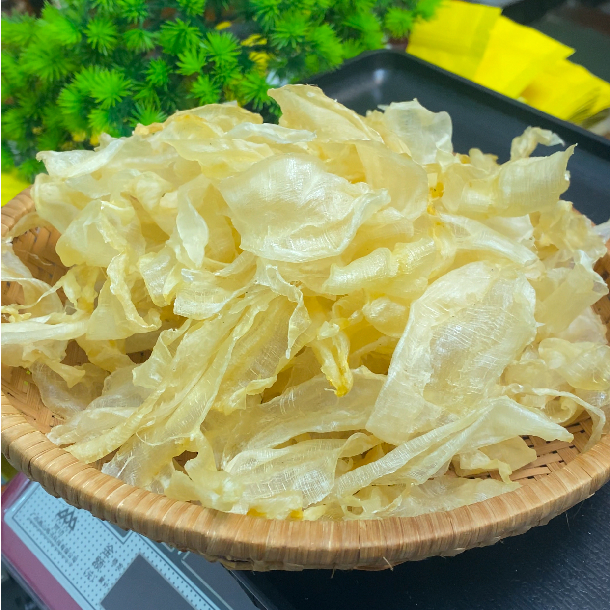 （淡干无糖）本港小白花 双开捡漏 天然鱼胶 滋补炖汤糖水 250g