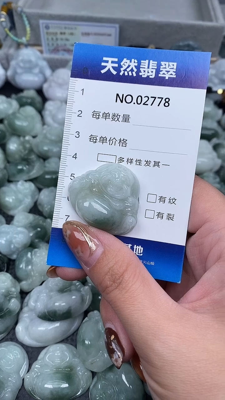 颈饰未镶嵌翡翠纯天然A货翡翠2778