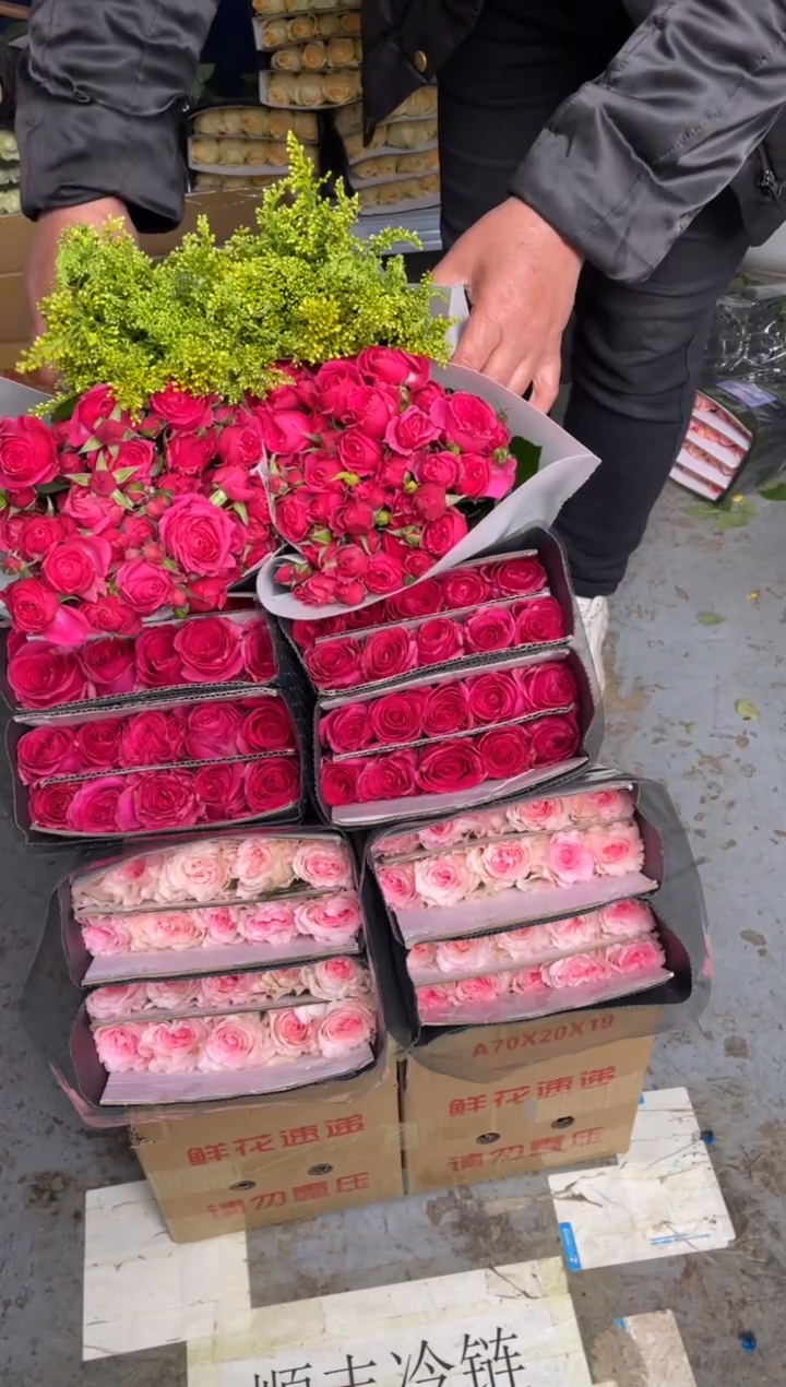 佛洛依德20枝+洛神20枝+苏菲10枝+黄莺