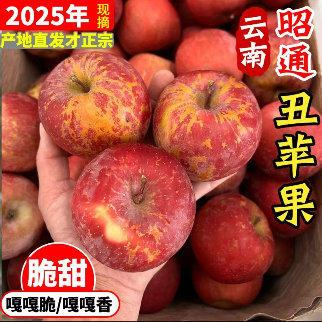 2025年云南昭通红露丑苹果红露当季水果脆甜现摘红露苹果