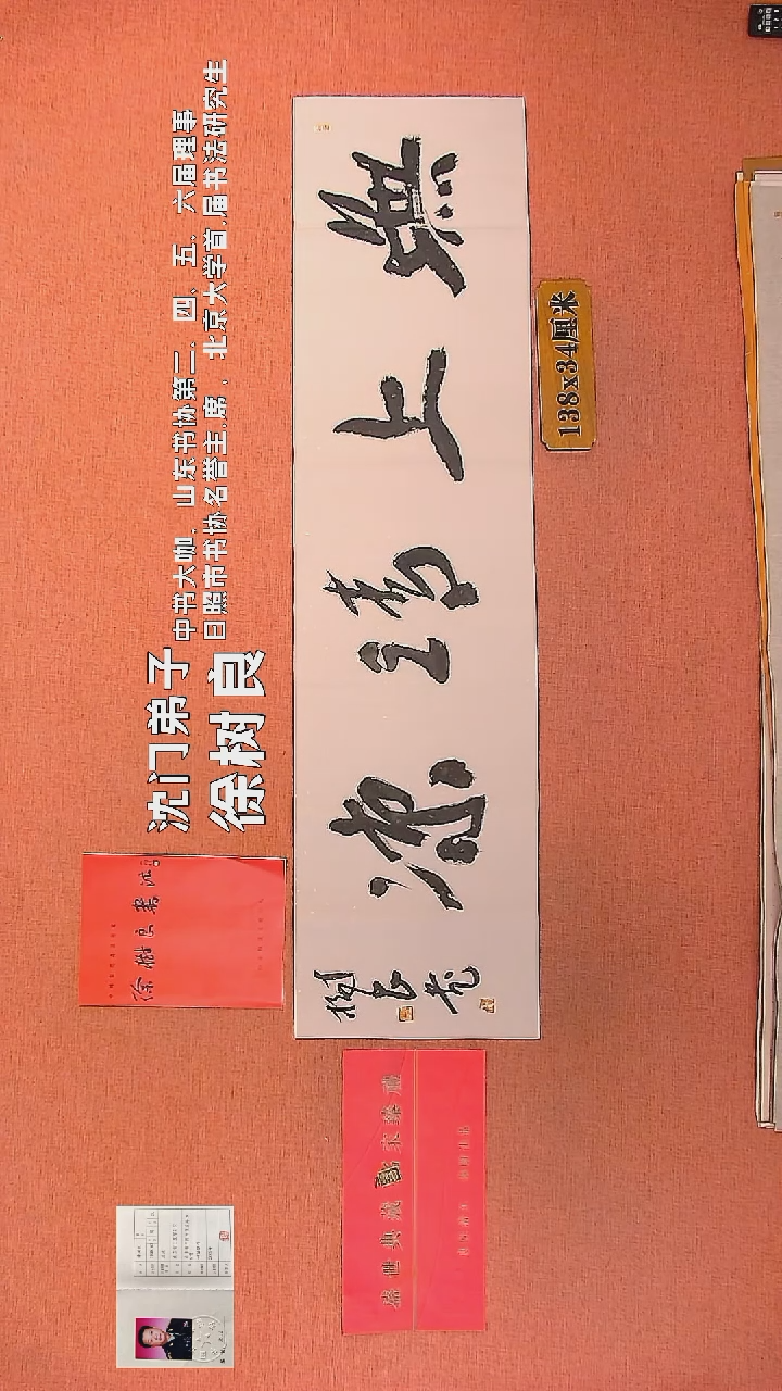 【闪购商品】书法105        徐树良书法作品