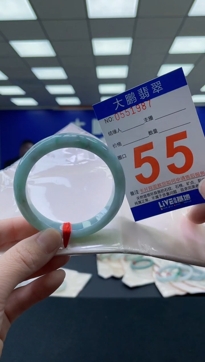 未镶嵌手镯翡翠 AAAAAAAAAA