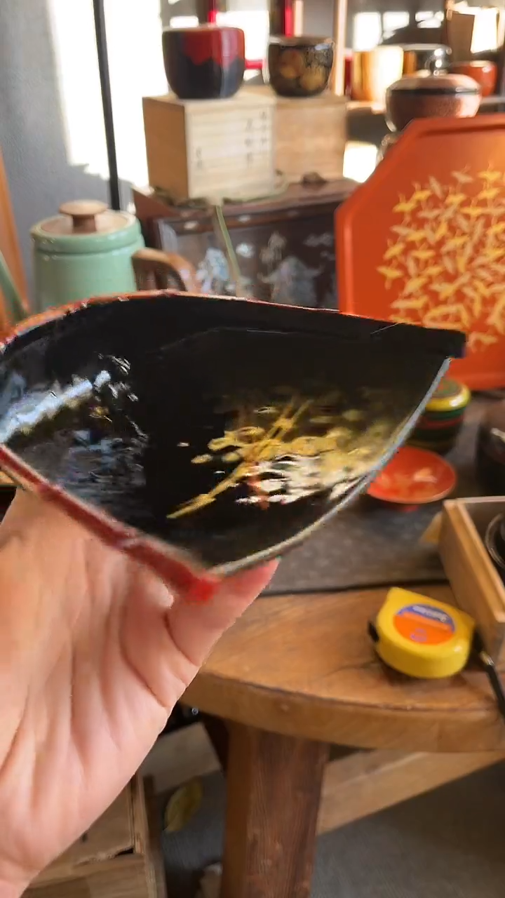 6.蓝胎漆             