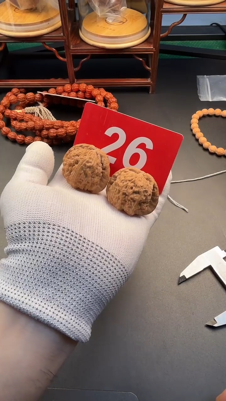 把件文玩核桃43白狮子