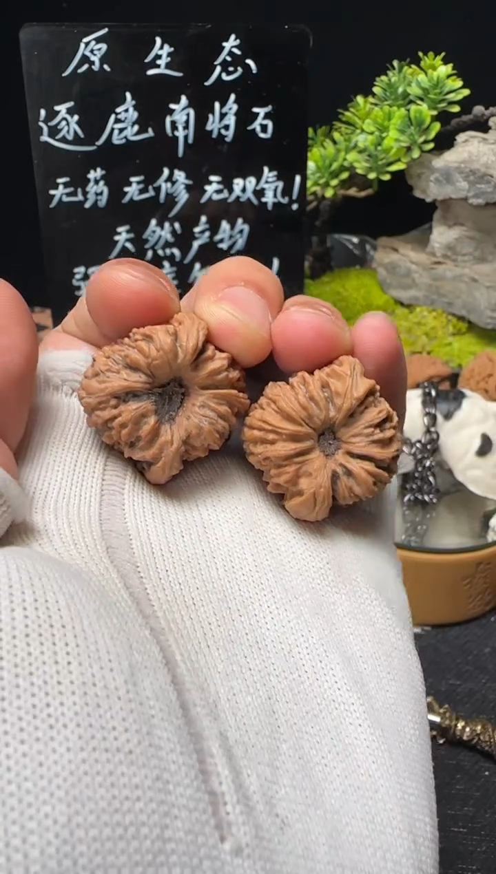 文玩核桃把件天*南将石