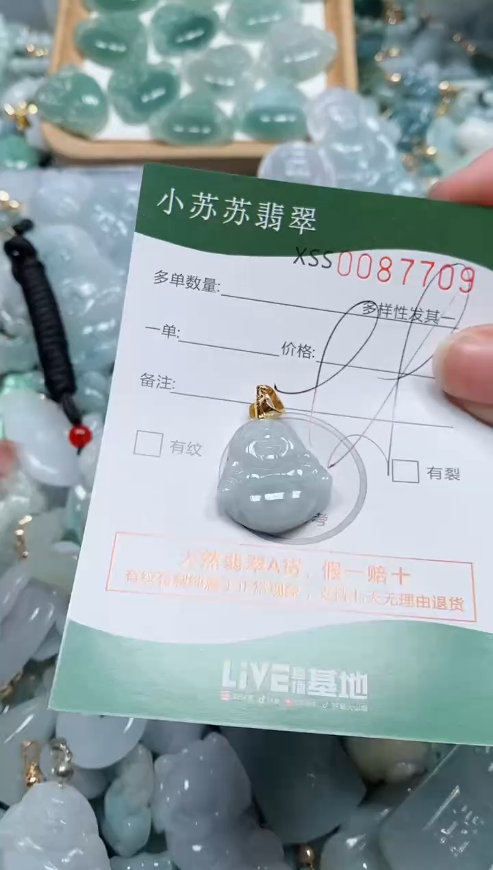 【闪购商品】翡翠颈饰未镶嵌闪购商品0087709