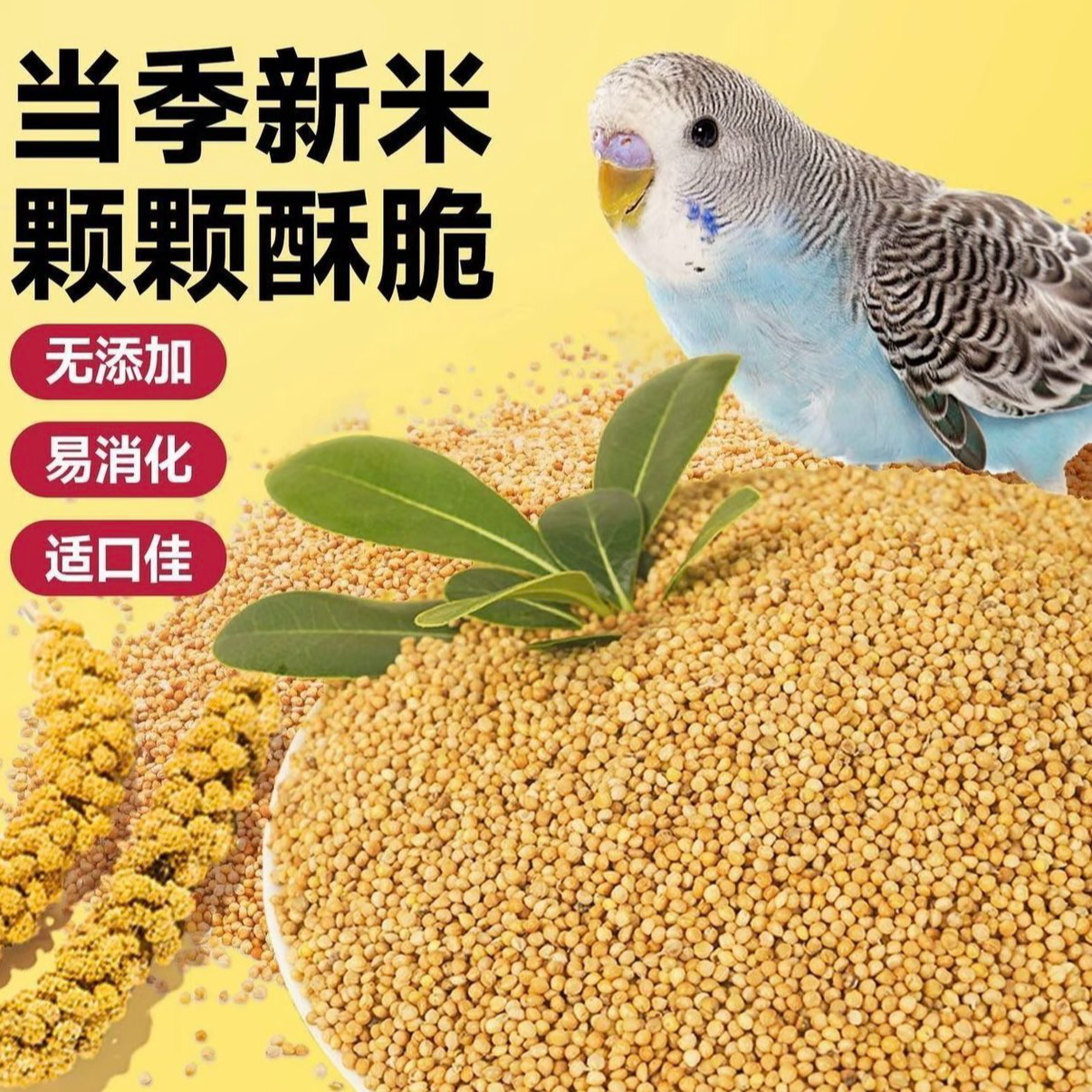 5斤装鹦鹉专用鸟粮y