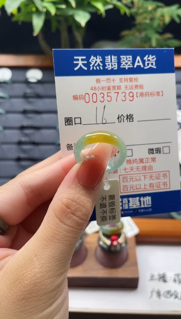 翡翠未镶嵌戒指天然翡翠戒指5739