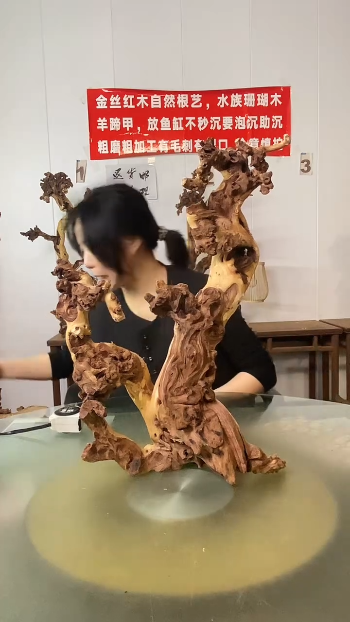 木金**业金丝红木 羊蹄甲