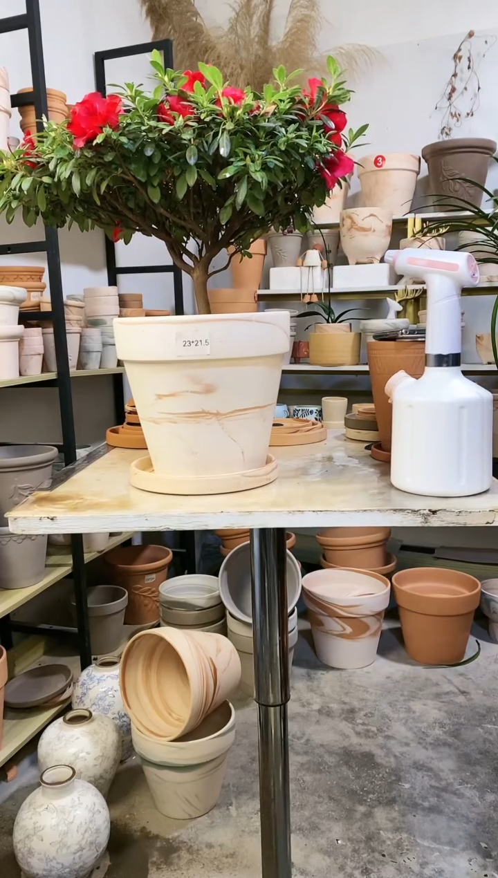 【闪购商品】陶23*21玛奇朵 1盆1托