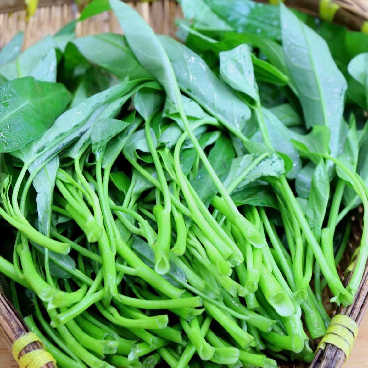 【顺丰包邮】脆嫩空心菜新鲜采摘脆嫩空心菜新鲜蔬菜绿色菜kg包邮江苏省绿色蔬菜大叶空心菜