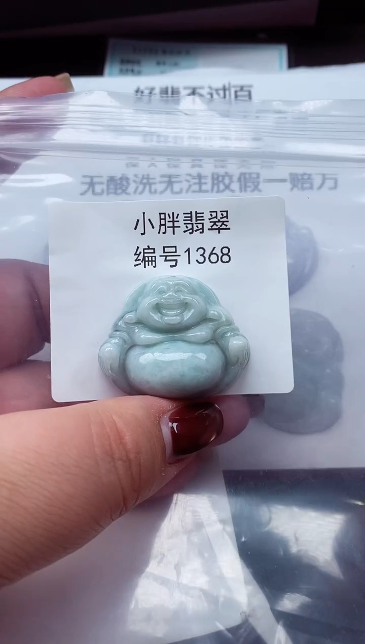 颈饰未镶嵌翡翠缅甸天然A货翡翠1368