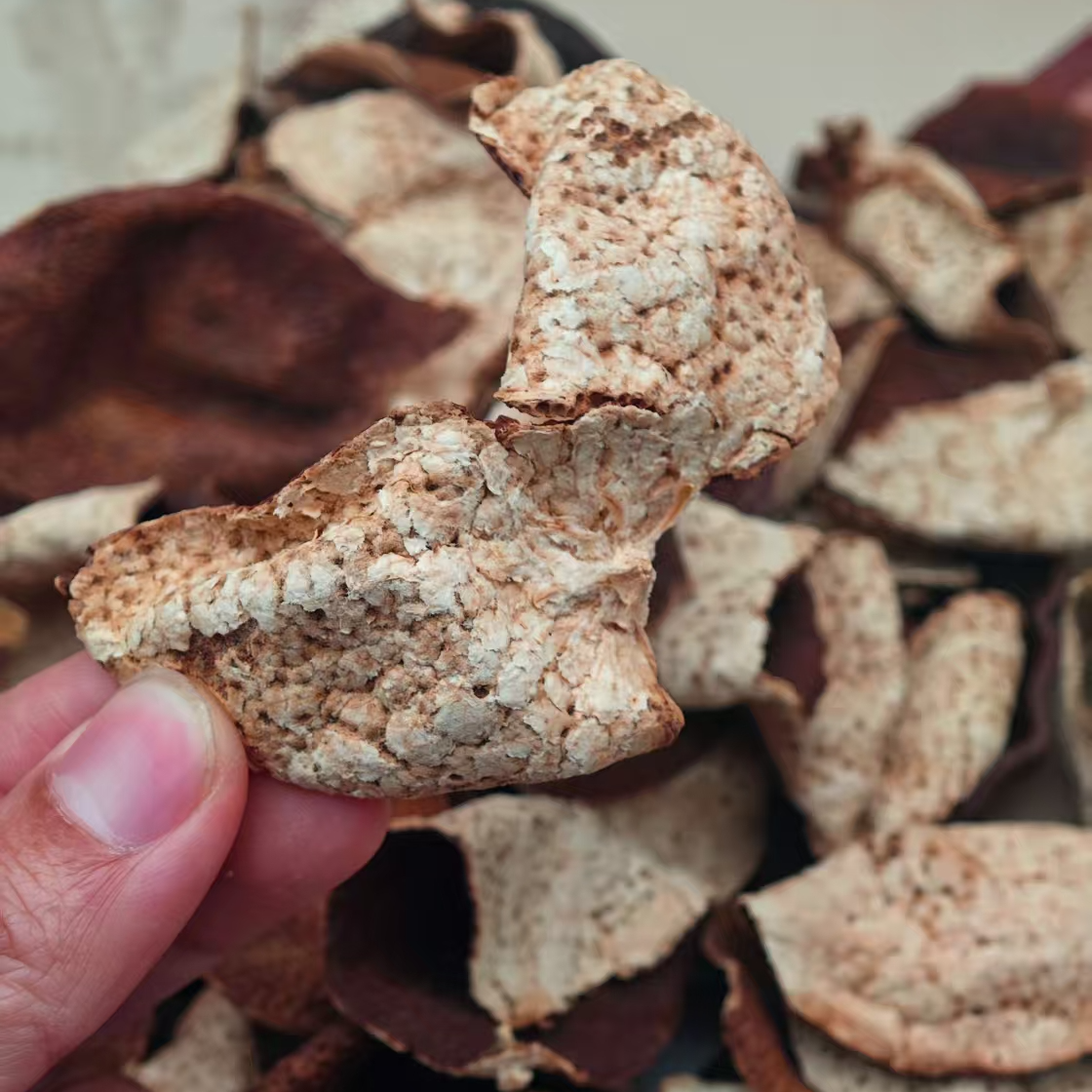 【乙真】2017年天马新会陈皮原枝陈皮（单片）