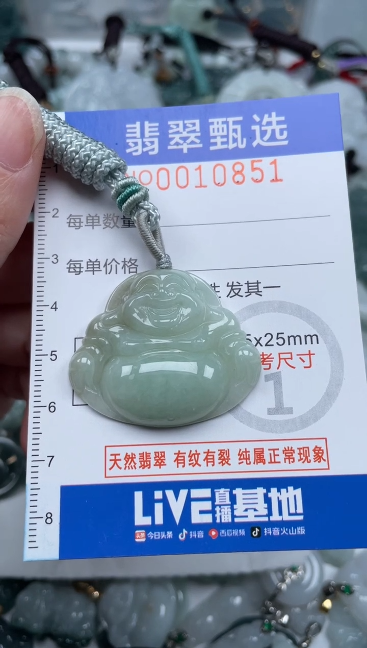 颈饰未镶嵌翡翠10851