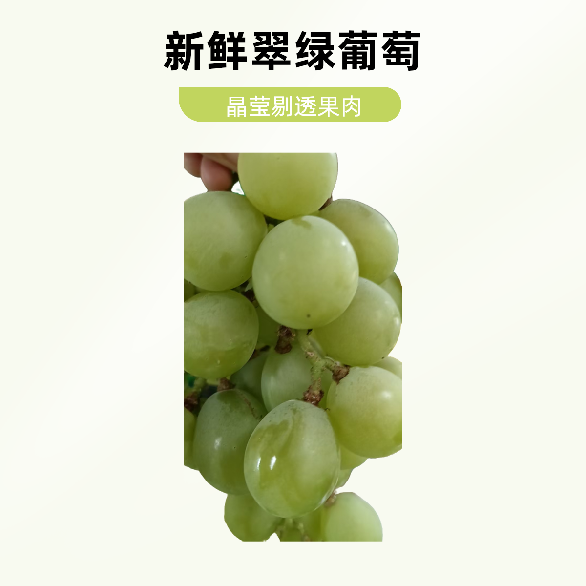 【福利多多】红富士葡萄一斤葡萄同城送