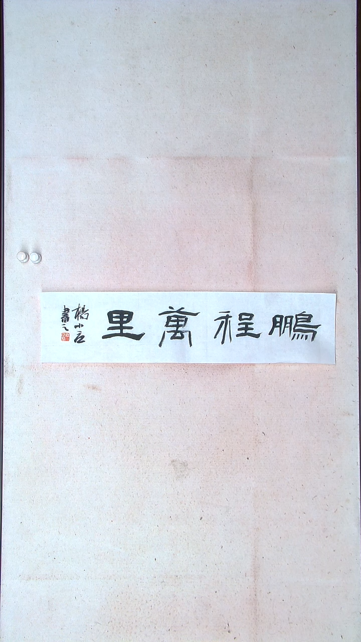 【闪购商品】书法 杨小立河南南阳69*17一平尺