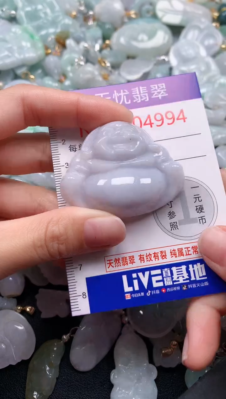 颈饰未镶嵌翡翠4994