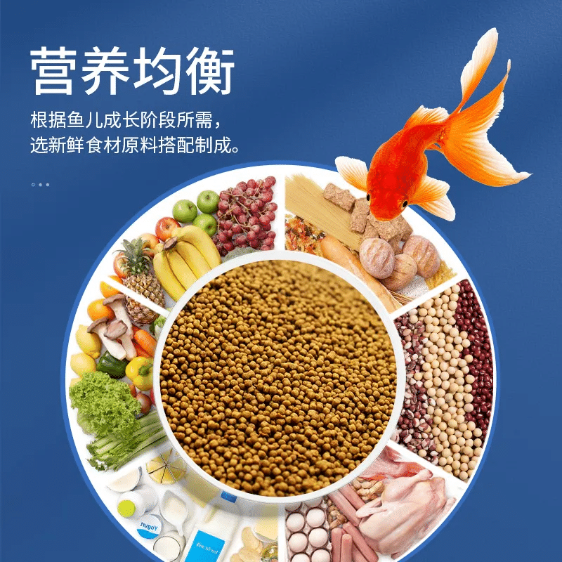 鼎能，海豚，红鲲等品牌任意发货，福袋专用，不退不换