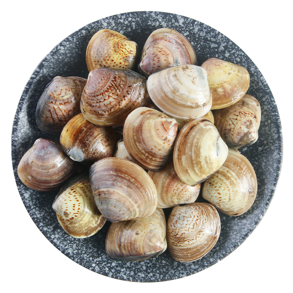 鲜活青蛾 350g