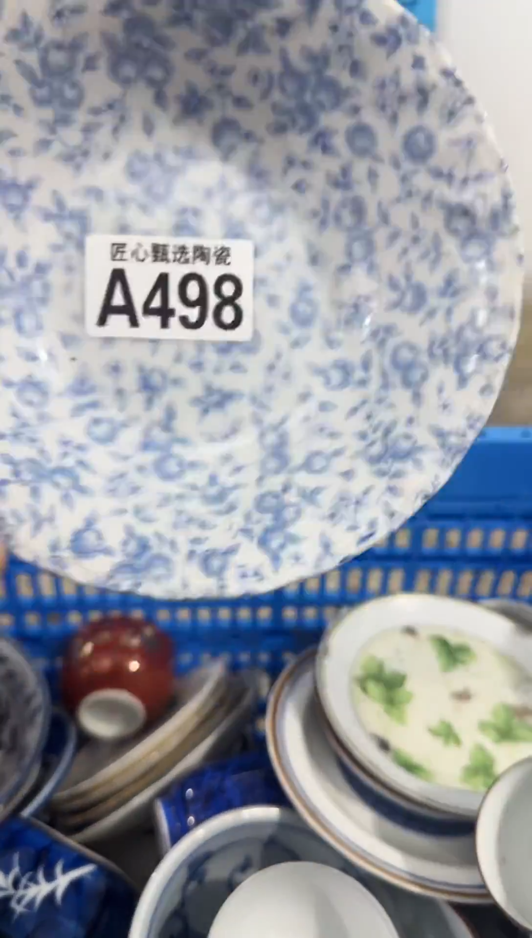 瓷片柳****6           A498