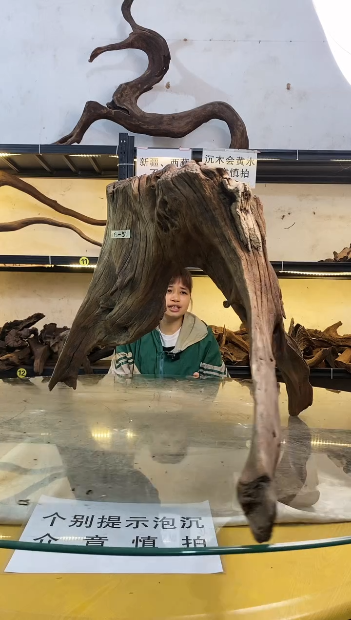 【闪购商品】柚木木艺鱼缸造景素材271