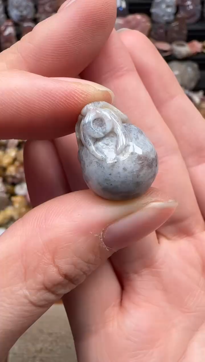 颈饰未镶嵌硅化珊瑚（珊瑚玉）544