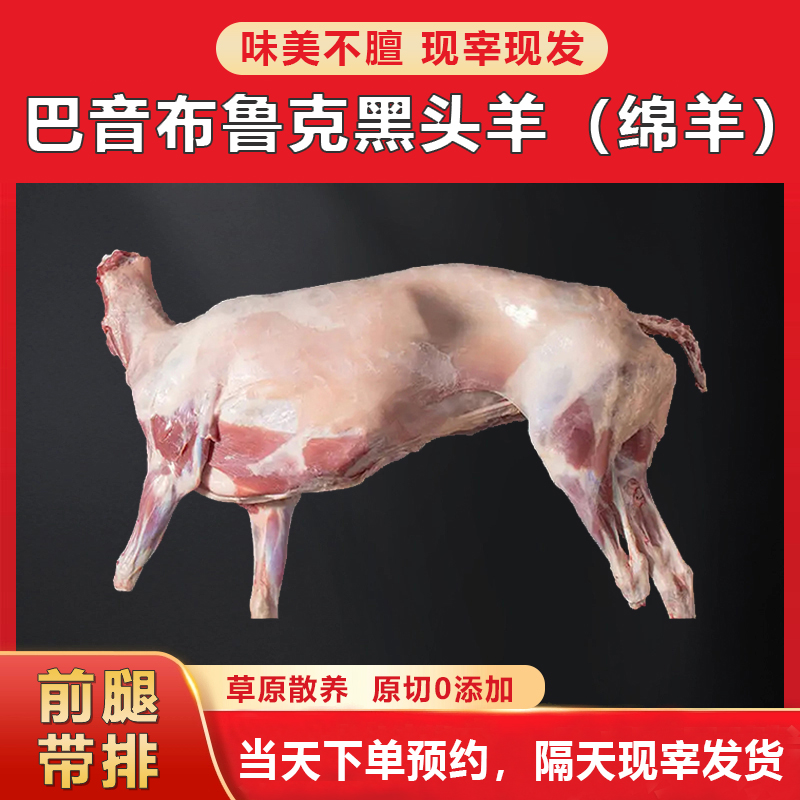 前腿带排新疆巴林布鲁克黑头羊现宰现发火锅食材