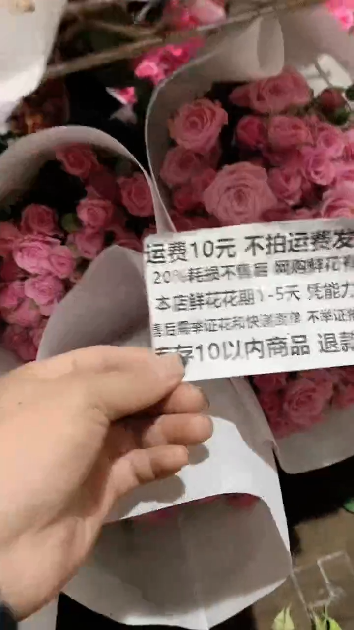 B2-4 粉泡泡 20%耗损