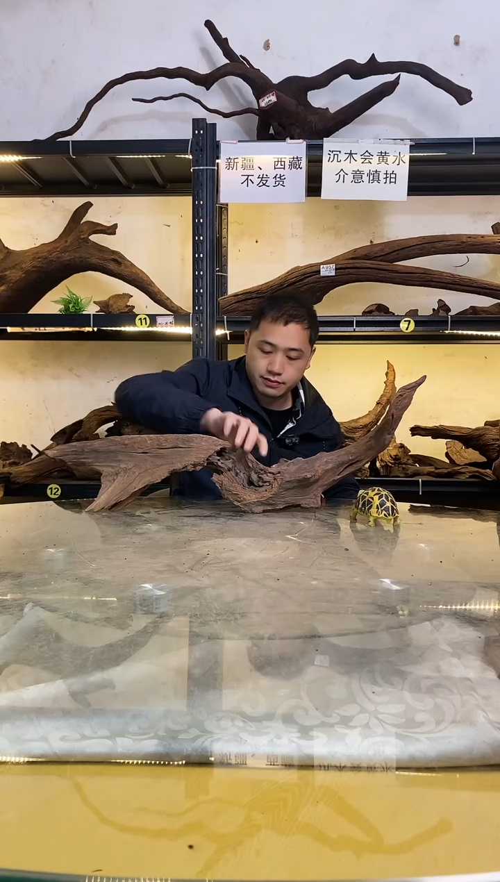 【闪购商品】柚木木艺144鱼缸造景沉木