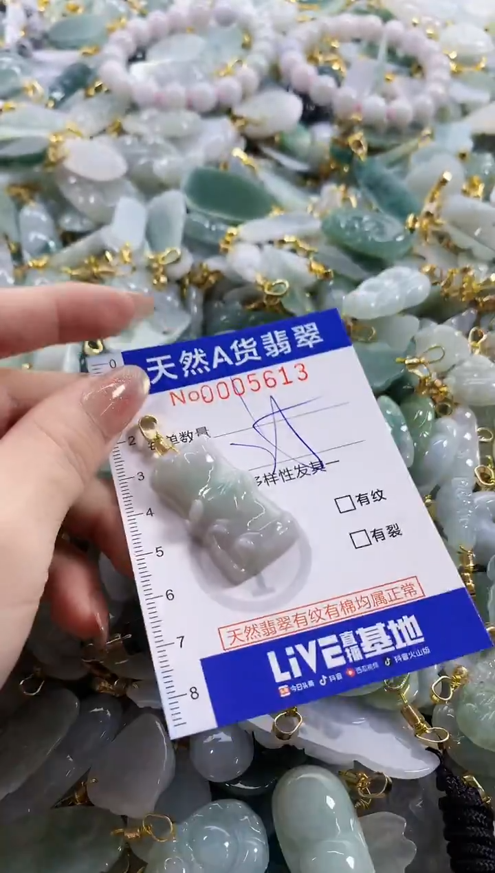 颈饰未镶嵌翡翠天然A货翡翠