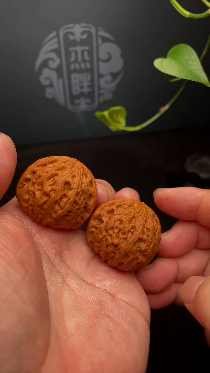 【闪购商品】文玩核桃把件铁锤妹妹40尺（微修，打底)