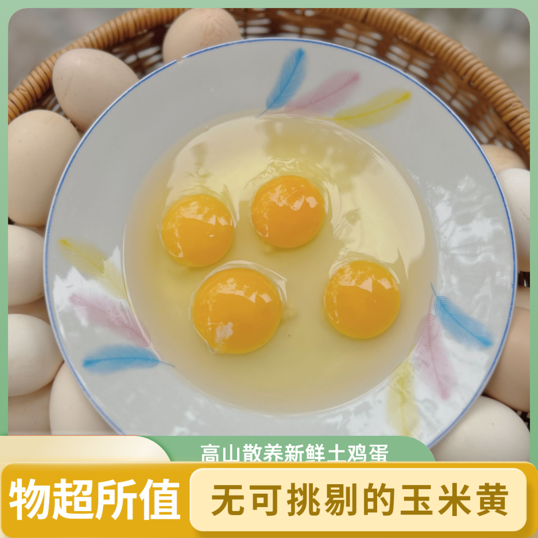 断货王【玉米黄】高山散养新鲜土鸡蛋 ｜当天现捡顺丰次日达
