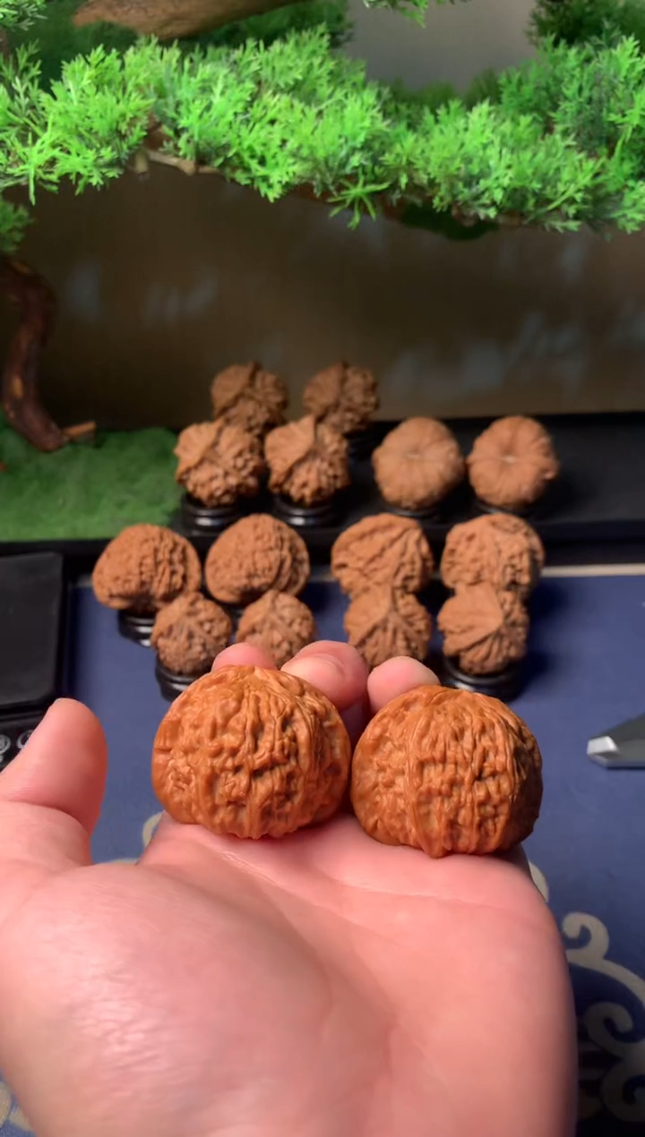 【闪购商品】文玩核桃把件41闷白