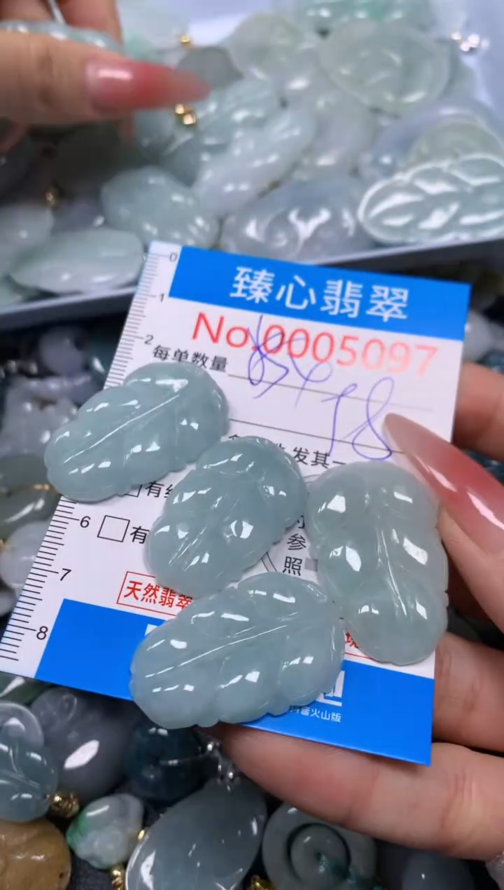 【闪购商品】翡翠颈饰未镶嵌含绳0005097