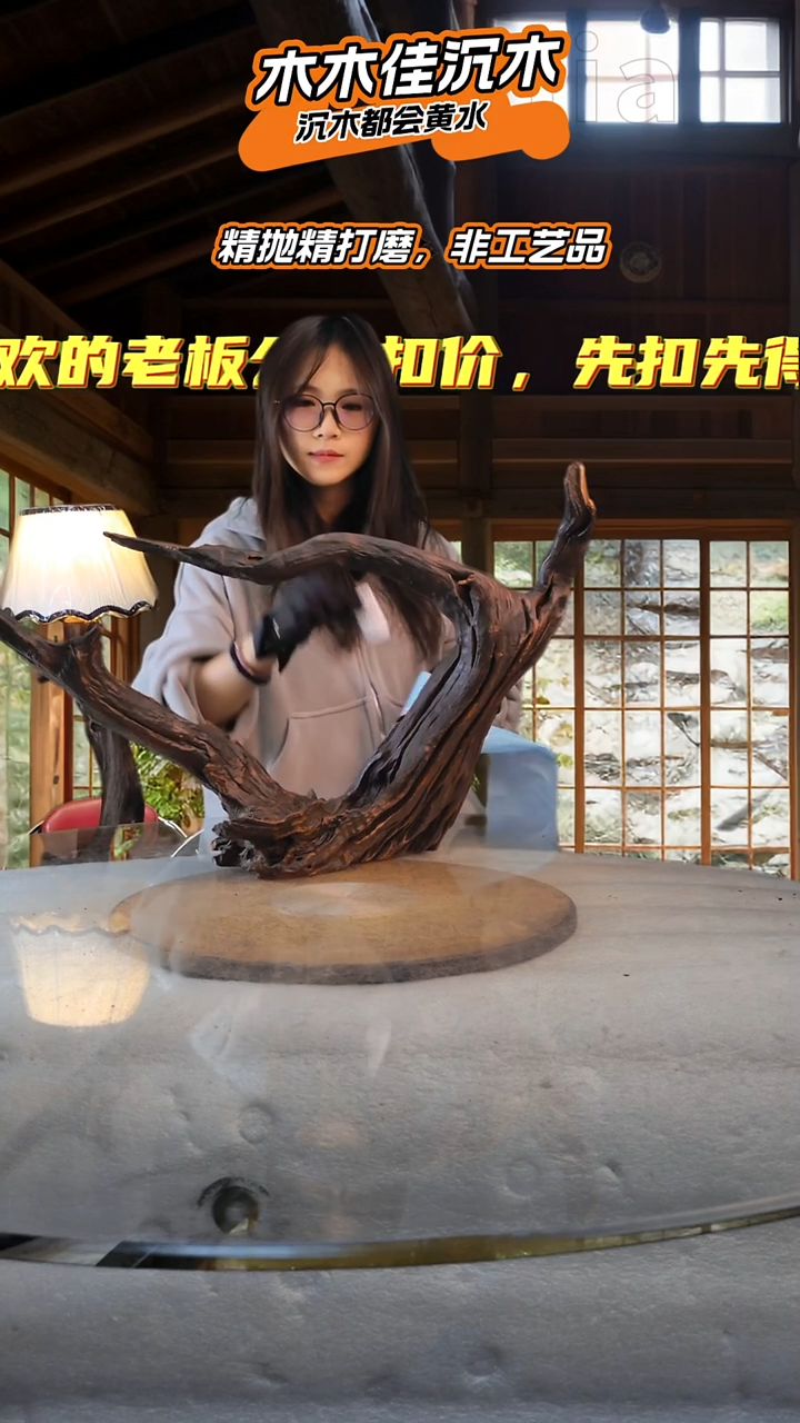 老*夫木木佳沉木鱼缸造景