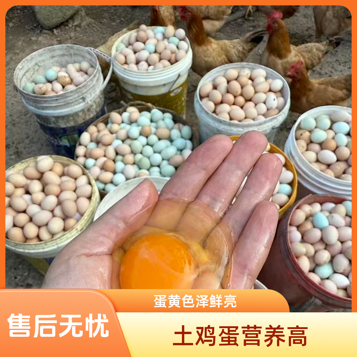 50枚（粉25绿25）混装山坡散养柴土鸡蛋