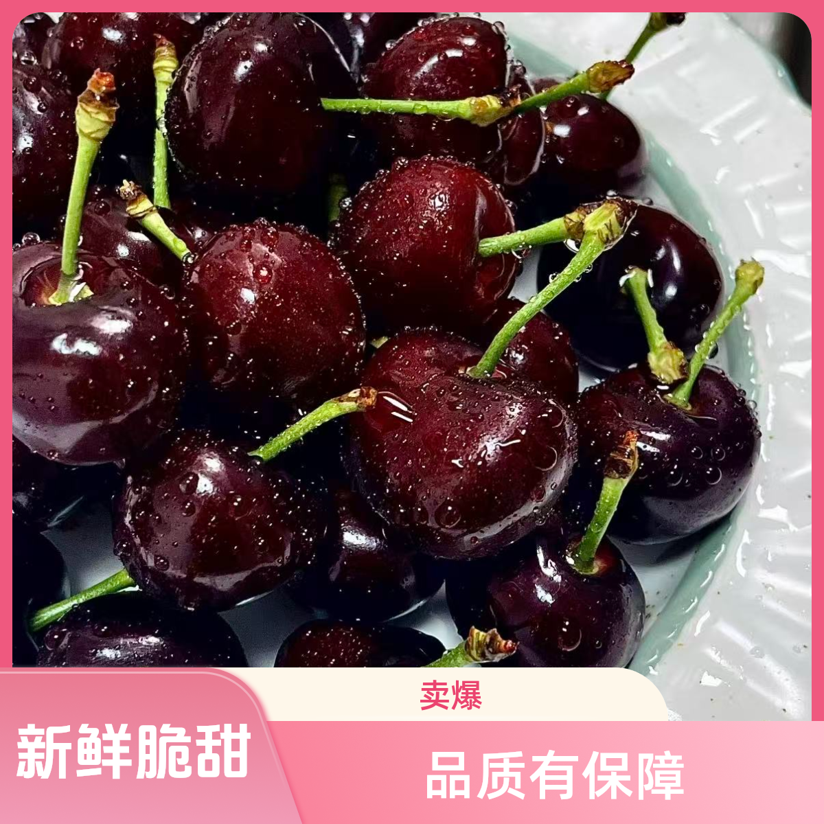 智利进口4JD 空运桑提娜新鲜1斤车厘子 礼盒装桑提娜智利