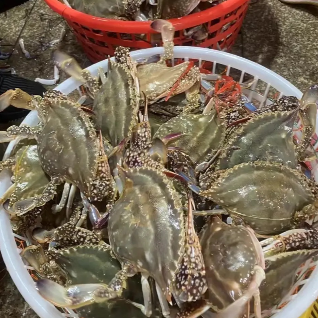 【保鲜不保活】飞蟹一斤（3.5-4两/只）