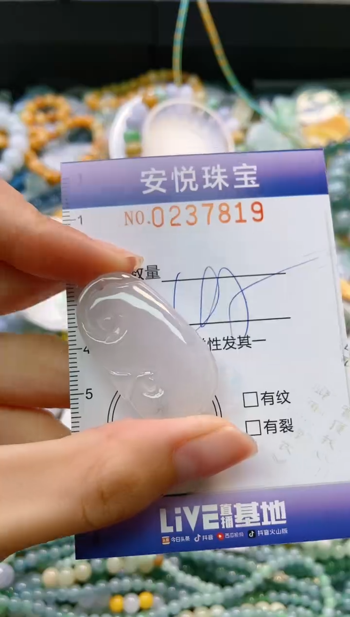 翡翠未镶嵌颈饰闪购0237819