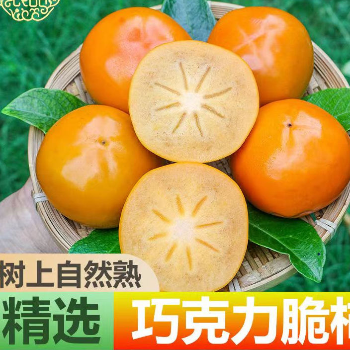 【王大水专属】巧克力脆柿子新鲜水果硬柿子顺丰包邮