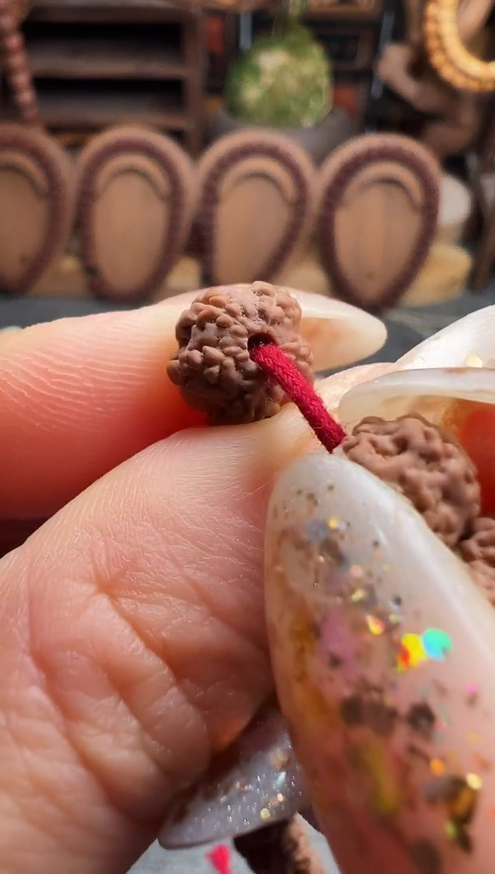 吊坠金刚菩提原桩梅花手持9-11mm左右礼盒发