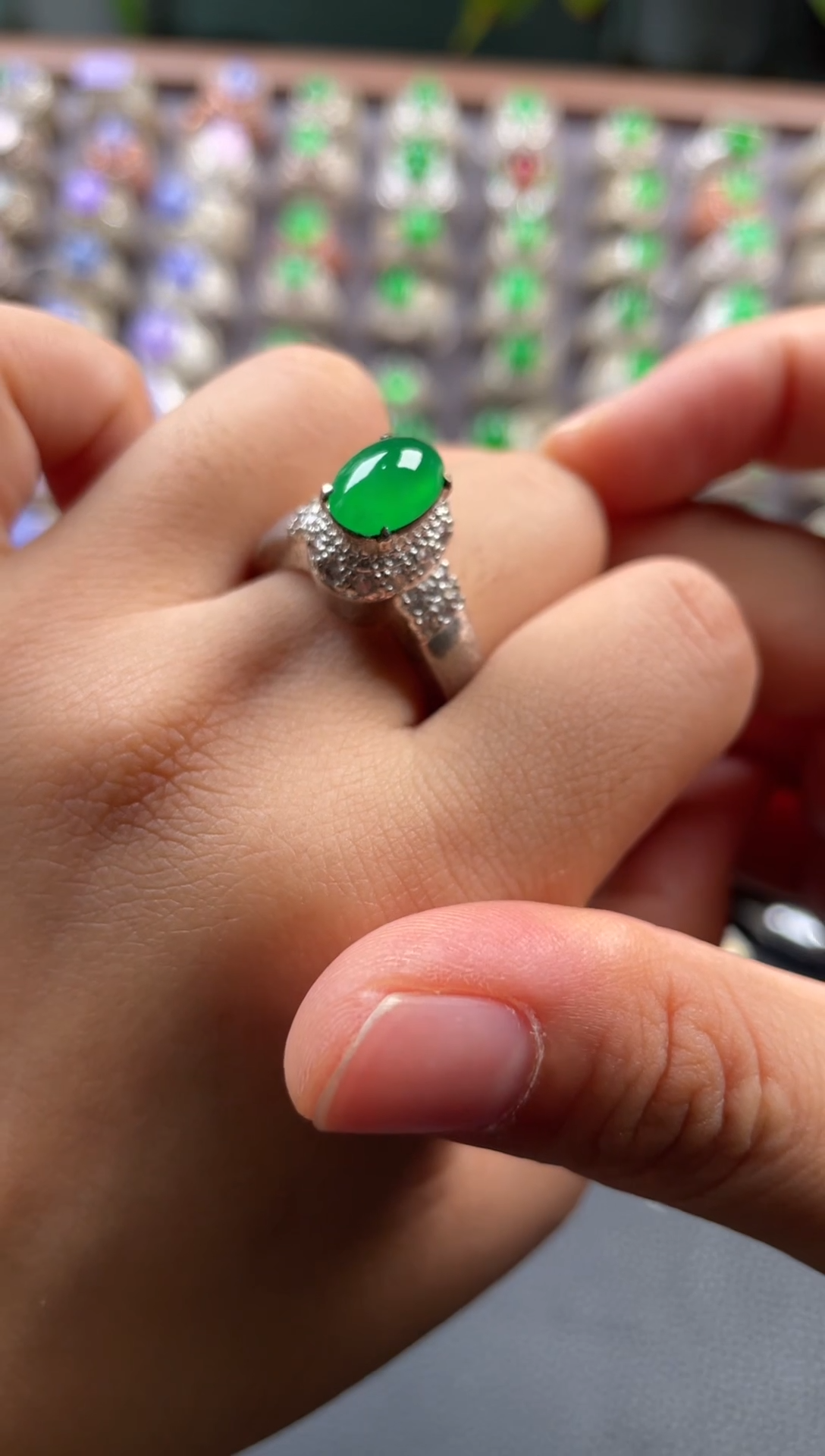 未镶嵌定制翡翠天然缅甸翡翠戒面 11.6