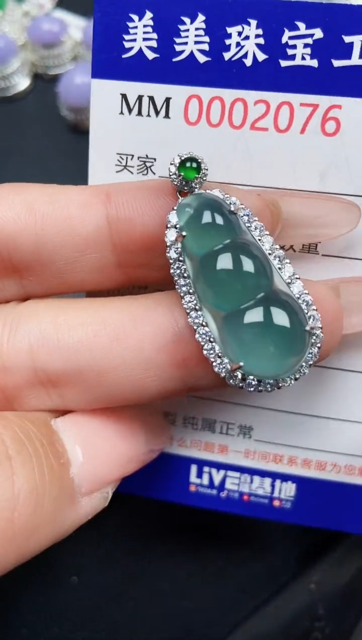 【闪购商品】翡翠颈饰银S925镶嵌2076