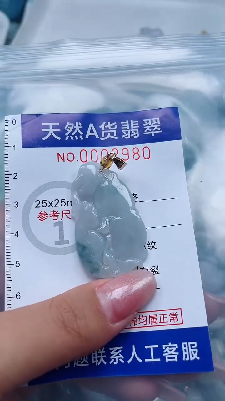 翡翠未镶嵌吊坠(不含链)                 