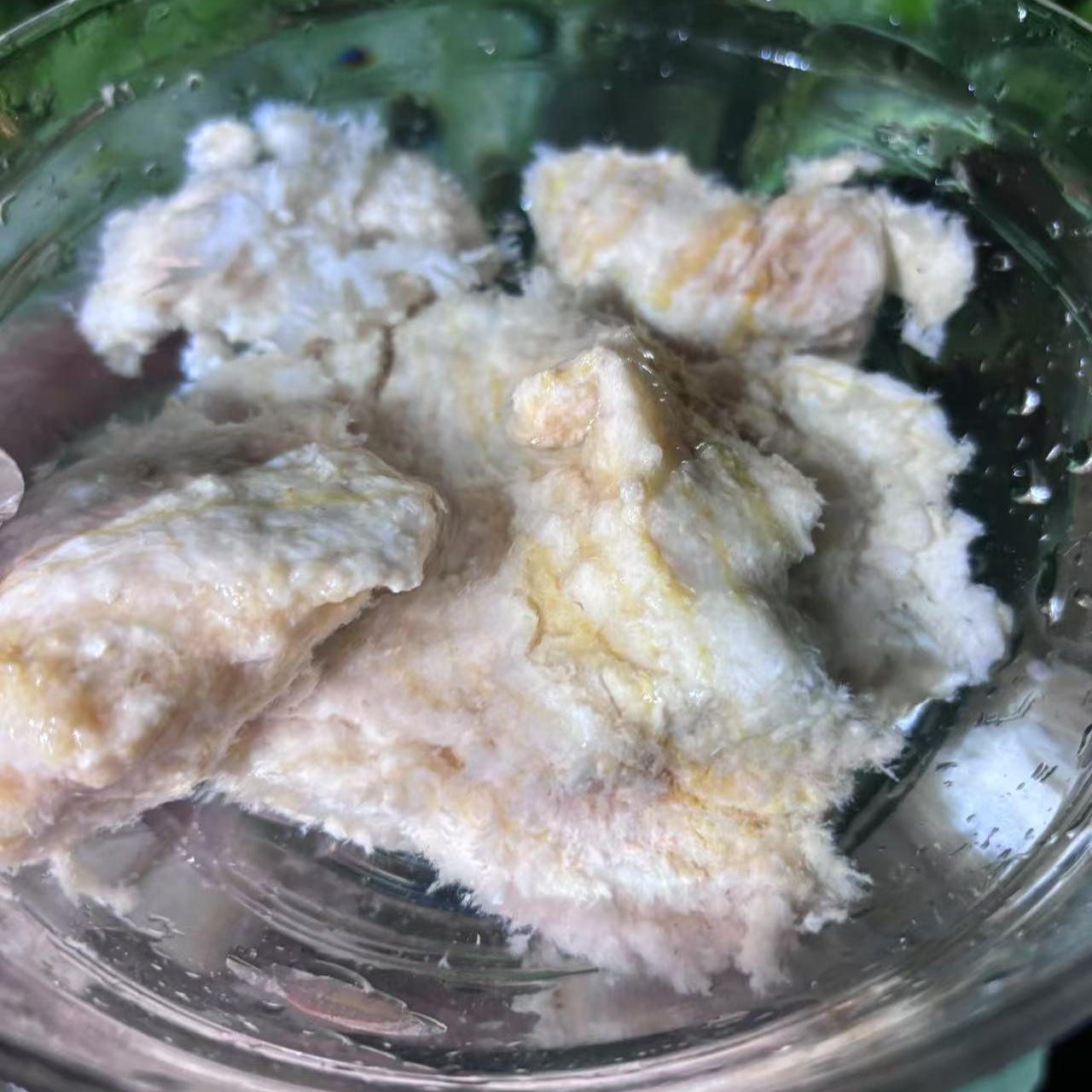 A【天-然-石-太-岁】净含量50g-1500g【阿虎现收】菌