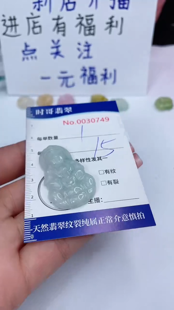 翡翠银S925镶嵌颈饰闪购商品0030749 多样性发其一