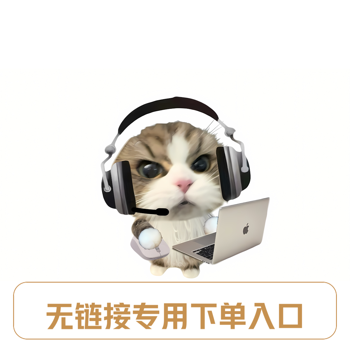 无SKU时临时拍下的链接