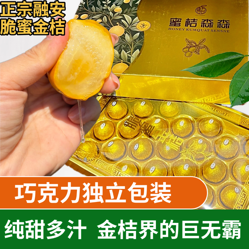 [巧克力限量版18颗]正宗广西融安第三代脆蜜金桔爆甜多汁皮薄软嫩