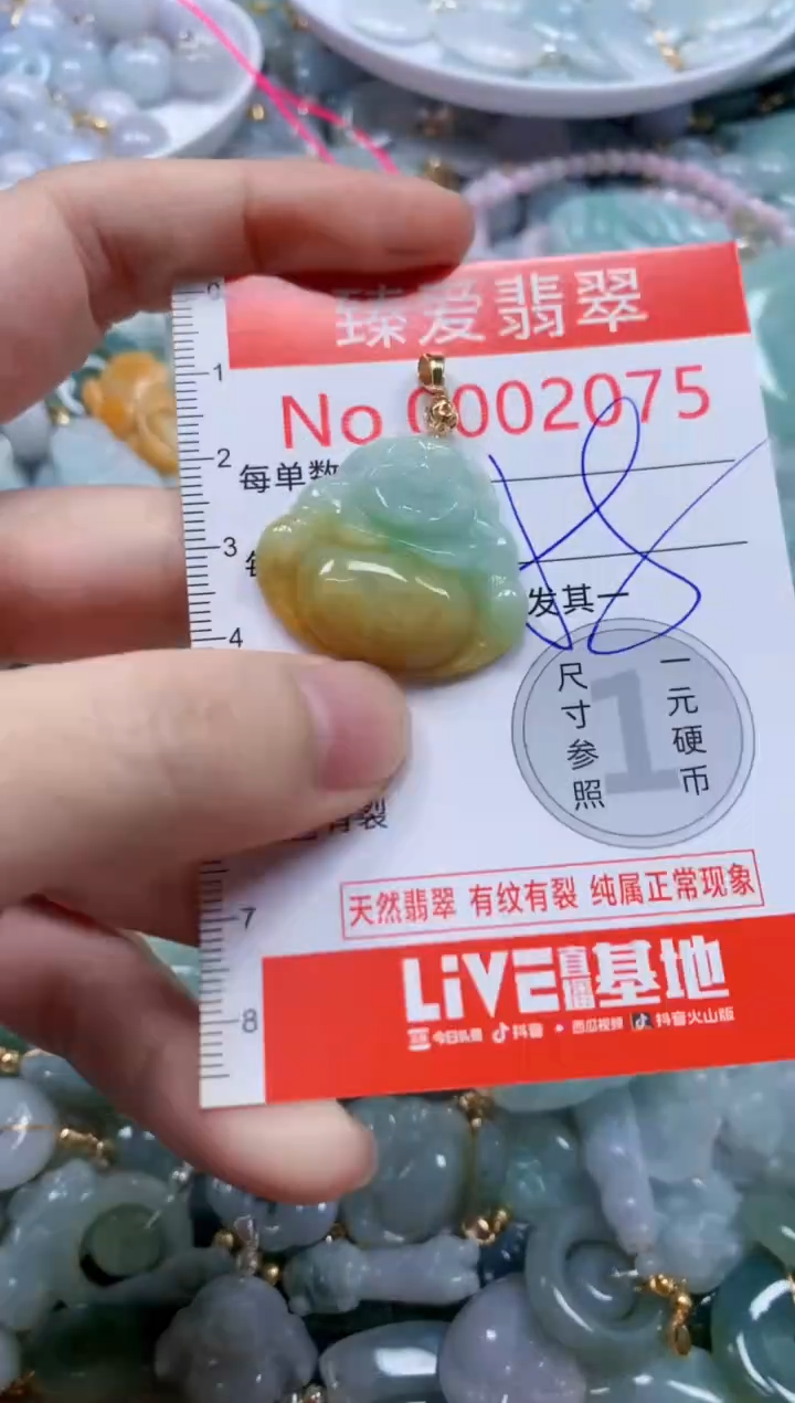 翡翠未镶嵌吊坠(不含链)2075